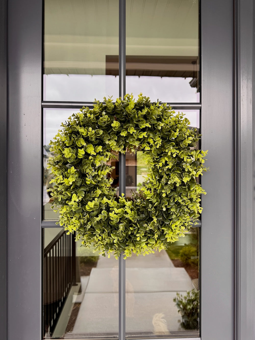 Year-Round Boxwood Wreath